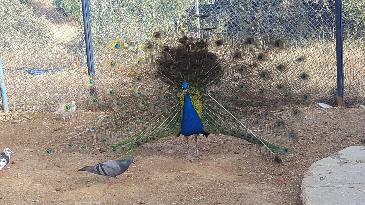 Hotel Relais De Tahla Aïn Bou Mahdi Esterno foto